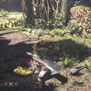 『モンハン：ワールド』の魅力は新要素だけじゃない！「依頼」でサクサク展開するゲーム進行も楽しい【プレイ日記】