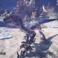 『モンハン：ワールド』の魅力は新要素だけじゃない！「依頼」でサクサク展開するゲーム進行も楽しい【プレイ日記】