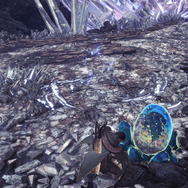 『モンハン:ワールド』あなたのお気に入りのフィールドは?【読者アンケート】