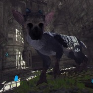 【吉田輝和のVR絵日記】トリコにまたがれ！ 気分はネバーエンディング『人喰いの大鷲トリコ VR Demo』