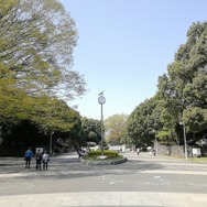 【読者の皆さまへ】3月31日、インサイド/Game*Spark編集部とゆるふわお花見しませんか？【UPDATE】