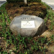 【読者の皆さまへ】3月31日、インサイド/Game*Spark編集部とゆるふわお花見しませんか？【UPDATE】