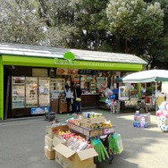 【読者の皆さまへ】3月31日、インサイド/Game*Spark編集部とゆるふわお花見しませんか？【UPDATE】