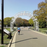 【読者の皆さまへ】3月31日、インサイド/Game*Spark編集部とゆるふわお花見しませんか？【UPDATE】