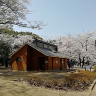 【読者の皆さまへ】3月31日、インサイド/Game*Spark編集部とゆるふわお花見しませんか？【UPDATE】