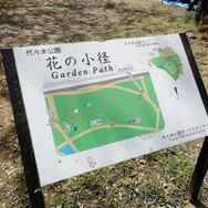 【読者の皆さまへ】3月31日、インサイド/Game*Spark編集部とゆるふわお花見しませんか？【UPDATE】