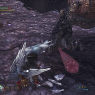 『モンハン：ワールド』みんな大好き“モンスターの尻尾”―プケプケからイビルジョーまで11本