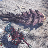 『モンハン：ワールド』みんな大好き“モンスターの尻尾”―プケプケからイビルジョーまで11本