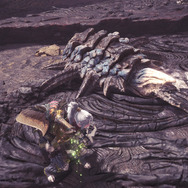 『モンハン：ワールド』みんな大好き“モンスターの尻尾”―プケプケからイビルジョーまで11本