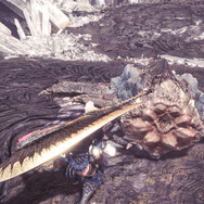 『モンハン：ワールド』みんな大好き“モンスターの尻尾”―プケプケからイビルジョーまで11本