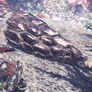 『モンハン：ワールド』みんな大好き“モンスターの尻尾”―プケプケからイビルジョーまで11本