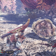 『モンハン：ワールド』みんな大好き“モンスターの尻尾”―プケプケからイビルジョーまで11本