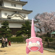 うどん県とポケモンの「ヤドン」がコラボ！「ヤドンパラダイス in 香川」開催決定