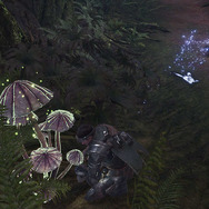 『モンハン：ワールド』アステラ祭【開花の宴】開幕！開放されるイベクエを用途ごとにまとめてみる