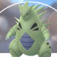 「今、強化するべきポケモン」12選―今後のレイドが楽になるかも…？【ポケモンGO 秋田局】