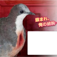 同じ名前だけど物凄いギャップを持っているキャラクター5選【特集】