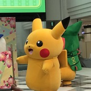 俺が全力で撮ってきたピカチュウを見てくれ【GW特集】