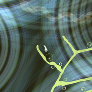 ゲームと人を繋げるゲーム『Eden Obscura』とは？―制作者・Baiyon氏「美しいと思ったモノを全て詰め込みました」【BitSummit Vol.6】