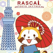 癒し系VR『あらいぐまラスカル』が東京ソラマチ店に登場－隠れたラスカルを探し出そう