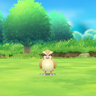 スイッチ『ポケモン Let's Go! ピカチュウ・ イーブイ』二人同時プレイや『ポケGO』との連動など、新要素を一挙紹介!