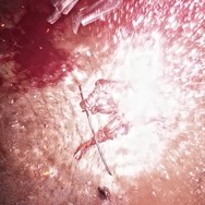 フロム新作『SEKIRO』には“スタミナ”の概念がない？実機プレゼンで様々な要素が明らかに【E3 2018】