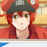 『はたらく細胞』PV先行カット (C)清水茜/講談社・アニプレックス・davidproduction