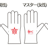 『FGO アーケード』稼働日が7月26日に決定！1人プレイ専用モードの詳細や、初期実装される概念礼装のラインナップも公開