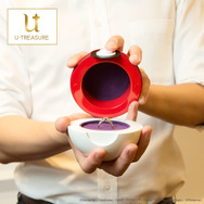 ピカチュウがデザインされた可愛すぎる婚約・結婚指輪が登場―モンスターボール型のケースで「ゲットだぜ!」