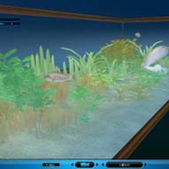 (c)BeTo Interactive Co., Ltd. Exclusive right to service in Japan Market for SE M&O. Japanese Version Character (c)SE M&O