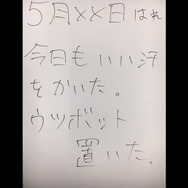 黄金の田んぼジムを拝むために通い続けた、30日間のノンフィクションドラマ【ポケモンGO 秋田局】