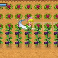 牧場物語 ようこそ!風のバザールへ