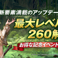 超巨大マルチバトルRPG『リネレボ』一周年記念リアルイベント開催決定！1年間の軌跡と魅力をお届け