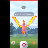 ファイヤーデイ35連戦！イベントをガチるなら準備しておきたい7大ポイント【ポケモンGO 秋田局】