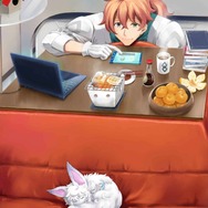 「『FGO』来年の水着イベはどんなテーマを期待する？」結果発表―次回は浴衣姿で夏祭りだ！【読者アンケート】