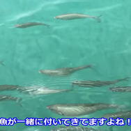 【無駄な本気】アヒルボードでしか行けない湖のド真ん中に、ポケモンは出現するのか【ポケモンGO 秋田局】