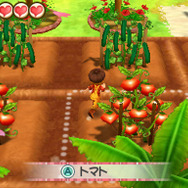 3DS『牧場物語』シリーズをお得に購入できる「秋の収穫祭セール」が開催！ほのぼの牧場生活を始めてみませんか？