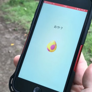 7kmタマゴから地域限定ポケモンが欲しい人必見！隠された秘密を徹底検証【ポケモンGO 秋田局】