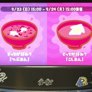 『スプラトゥーン2』フェス「つぶあん vs こしあん」はこしあん派のほうが多め!?【読者アンケート】