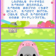 クプ〜!! まめゴマ!