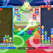 『ぷよぷよeスポーツ』「ぷよのしゅるい」は全15種類!「ソニック」「モロ星人」など好みに応じてセレクト可能に