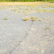 爆破撮影の“聖地”で気持ち良い爽快感！『バクレツモンスター』の魅力をマジの爆発を通して伝えたい