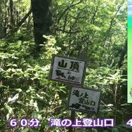 山奥の秘境ポケストからはレアタスクが出るらしい…ならば登ろうじゃないか【ポケモンGO 秋田局】