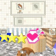 ハムスターと暮らそう Best Price