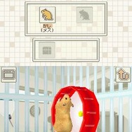 ハムスターと暮らそう Best Price