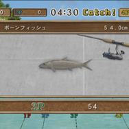 フィッシュアイズWii