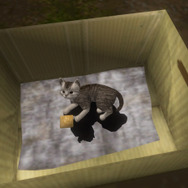 およそ20年ぶりに最新ハードで蘇る『シェンムー I＆II』―“伝説のゲーム”と呼ばれる所以とは