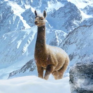 『ジャストコーズ4』試遊レポ― 自然の驚異も追加され、カオス度さらにパワーアップ！