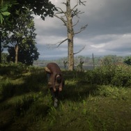 『レッド・デッド・リデンプション2』の善人プレイは今日も厳しい！「人々を助けたい」と願うも、硝煙と血の香りが付きまとう・・・【プレイ日記】