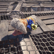 PS4『モンハン：ワールド』アステラ祭【煌めきの宴】開催中！集会エリアもキラッキラ