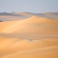 世界ふしぎ発見!DS 伝説のヒトシ君人形を探せ!